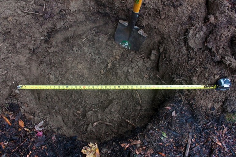 가을 사과나무 심기