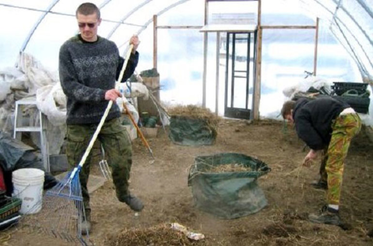 온실 청소 및 토양 경작