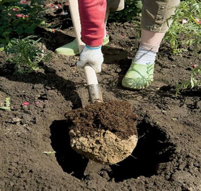 심기 준비 작업