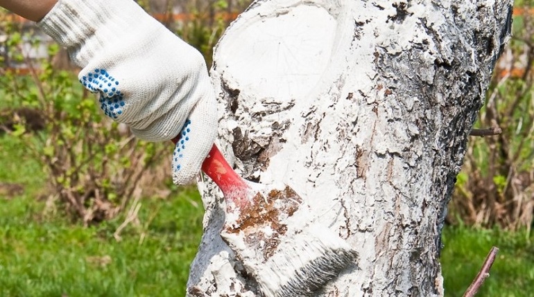 화이트워싱 기술