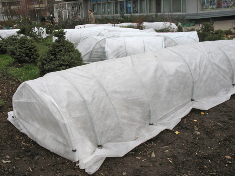 장미를 덮는 데 필요한 재료