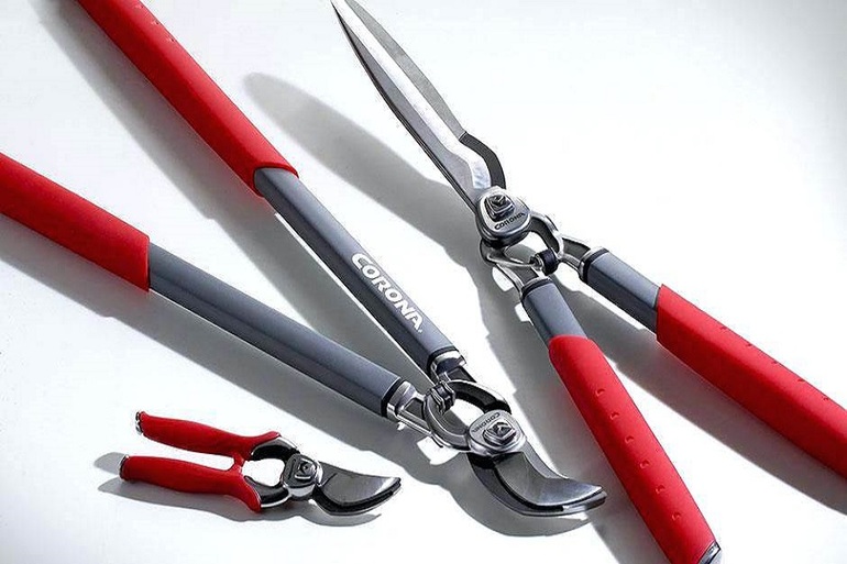 블랙베리 가지치기 도구