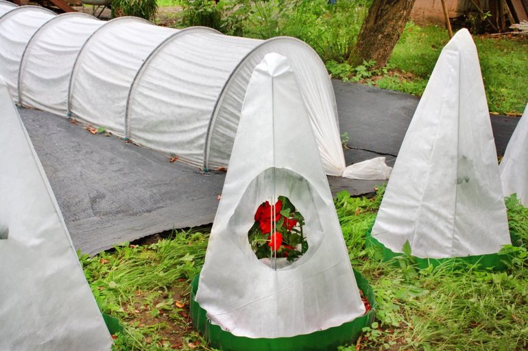 식물을 위한 겨울 덮개 재료