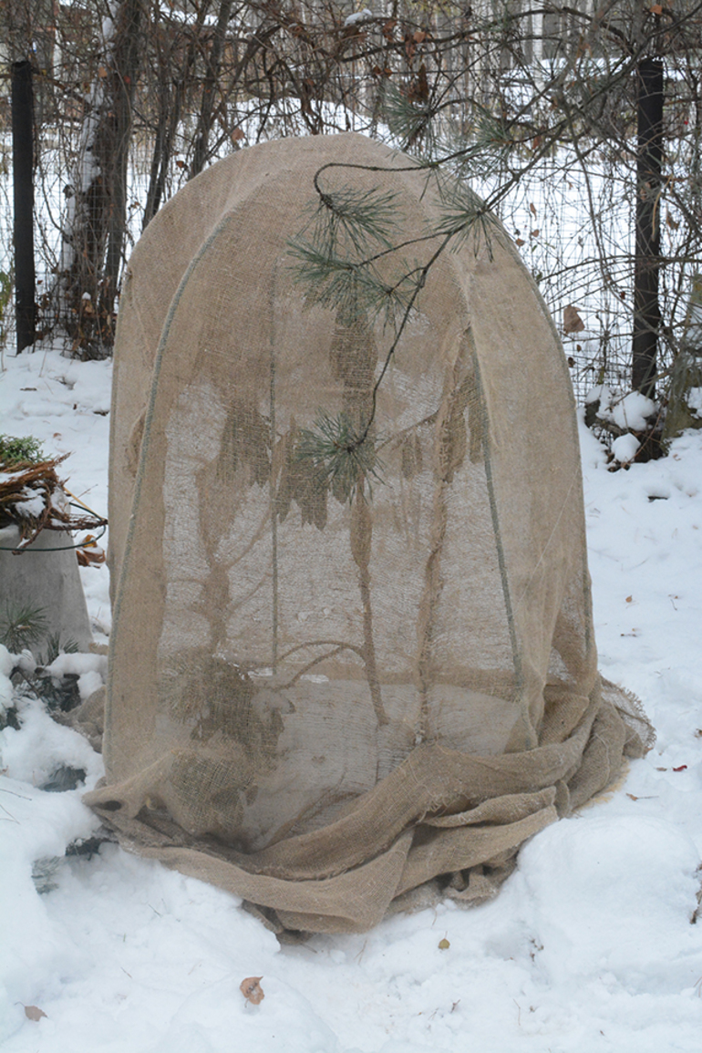 식물을 덮는 삼베