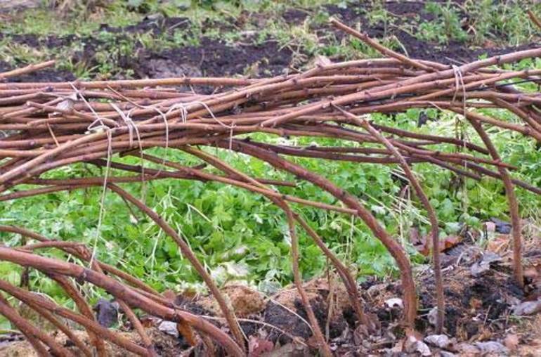 라즈베리 관리 규칙