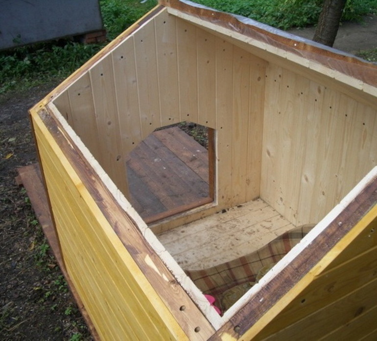 개집을 단열하는 방법