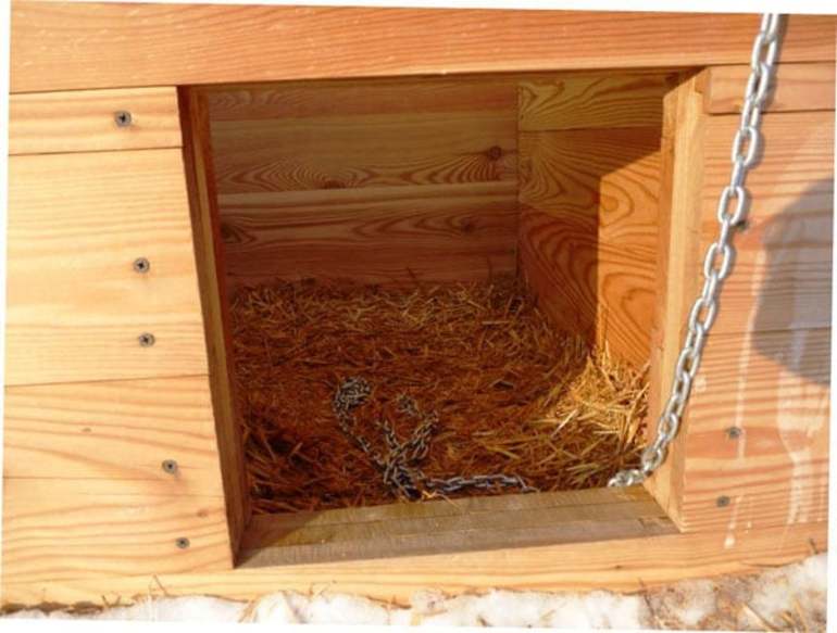 개집 바닥과 벽을 단열하는 방법