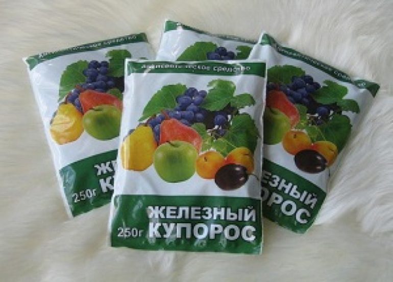 가을철 원예에 황산철을 시용하다