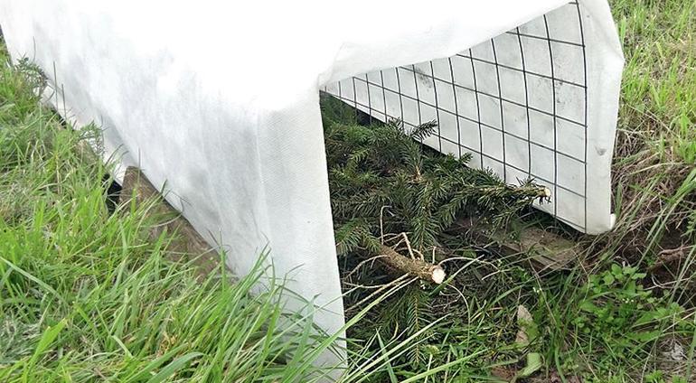 포도를 위한 효과적인 보호소