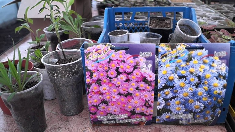 9월 열매 심는 방법