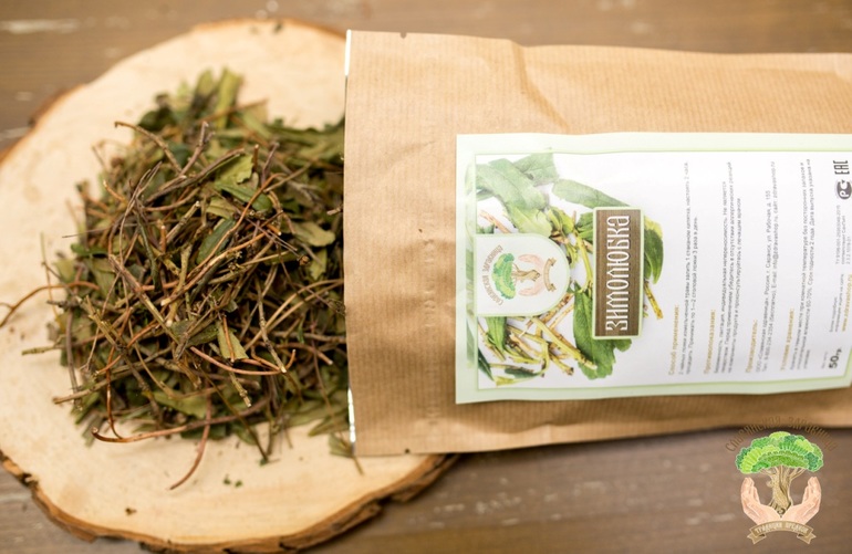 윈터그린 허브의 효능은 무엇인가요?