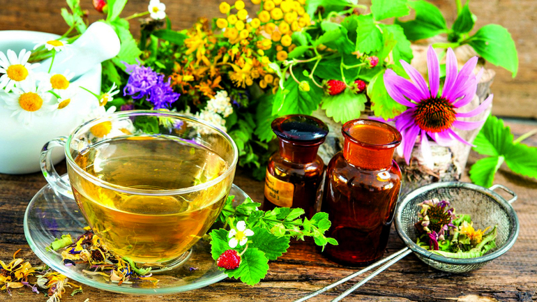 윈터그린 허브를 주입하는 방법