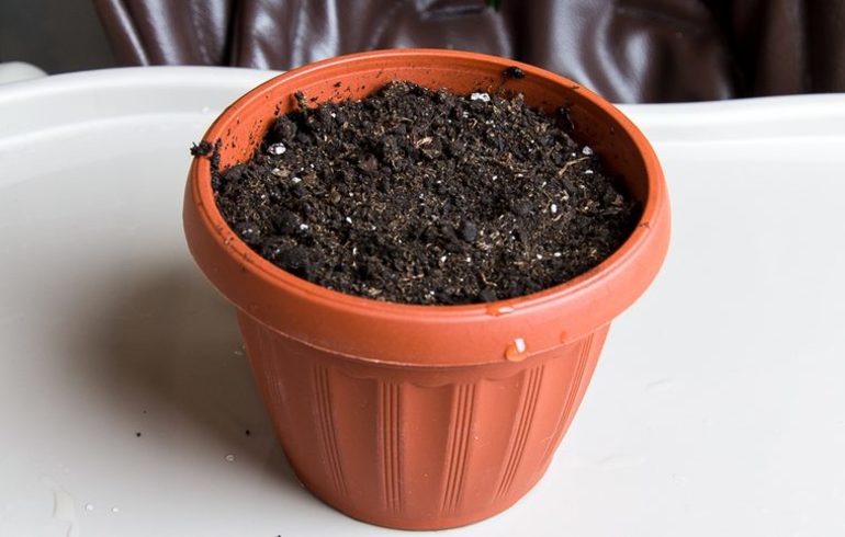 올바른 토양 선택