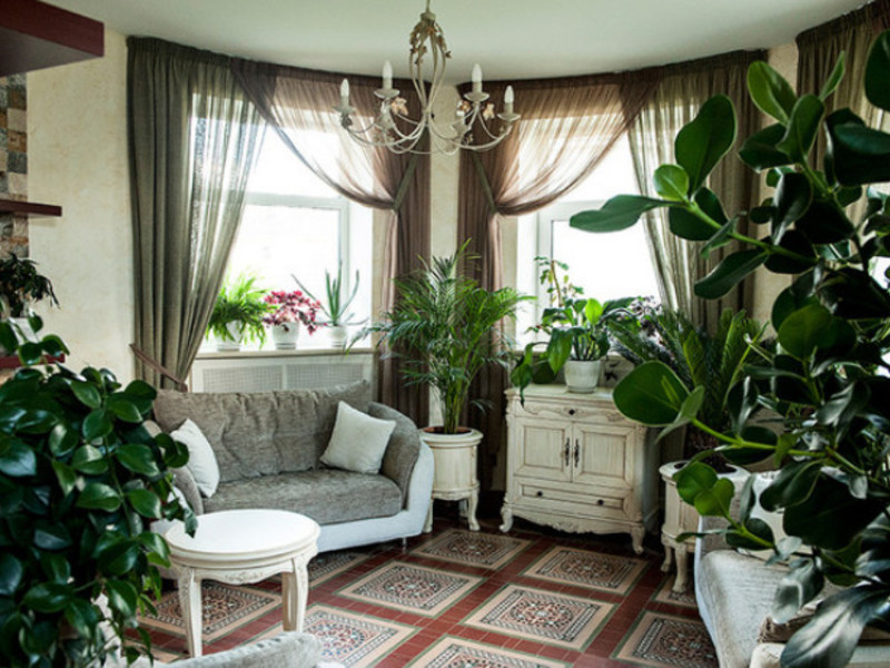 실내 겨울 식물