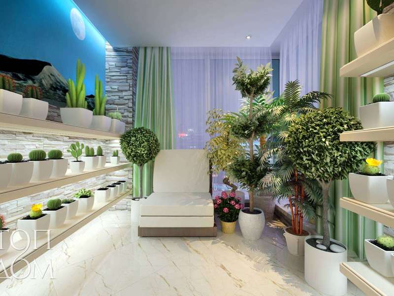 아파트의 겨울 식물