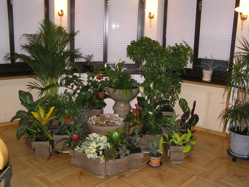 겨울에 재배할 꽃