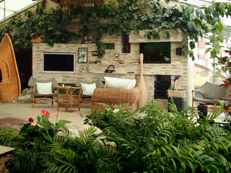 집안의 겨울 식물