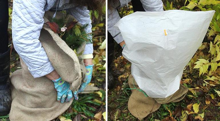 겨울철 포도를 위한 덮개 재료