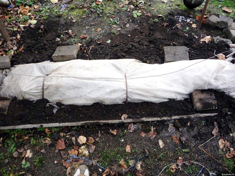 심한 감기에 대비하기