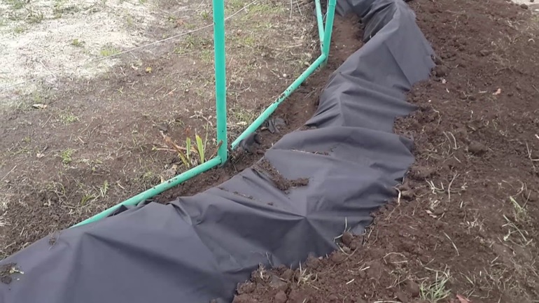 포도를 위한 건조 쉼터