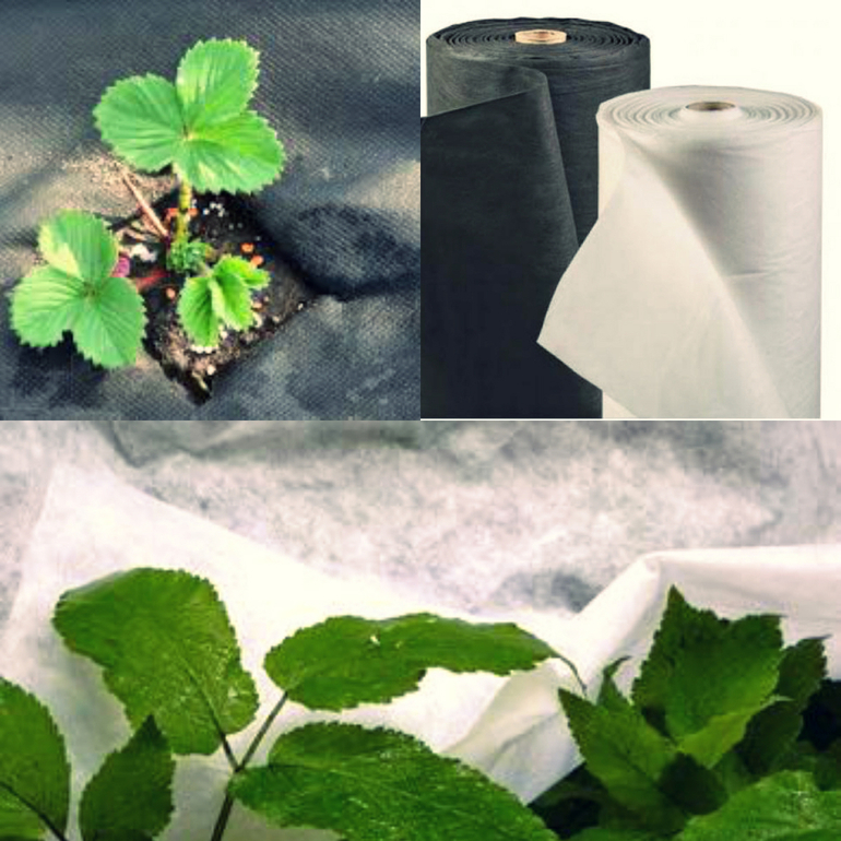 침대와 온실을 덮는 재료