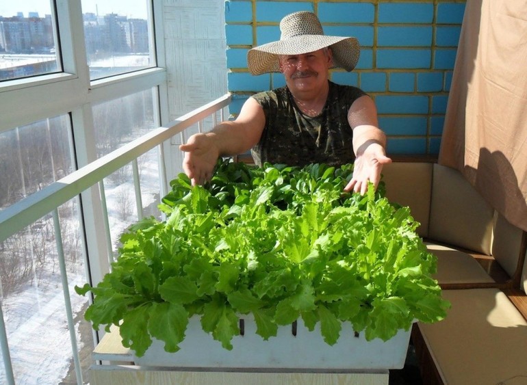 정원 침대를 놓을 장소