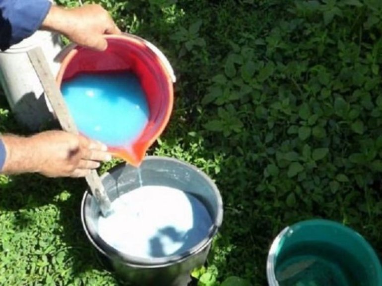 가을철 식물에 황산구리를 처리: 투여량