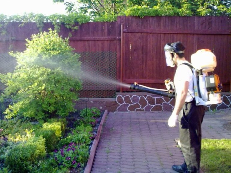 가을철 원예에서의 황산구리