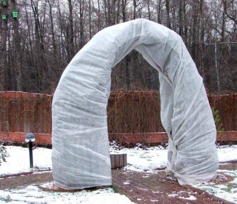 등반장미를 덮을 프레임 만들기