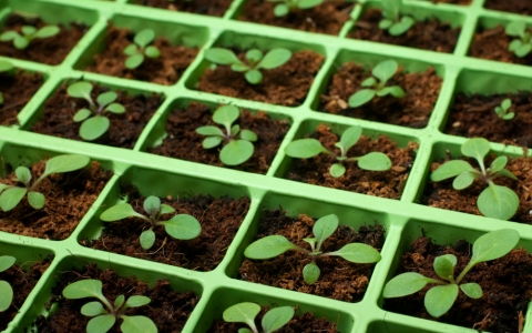 달의 위상과 착륙 시간