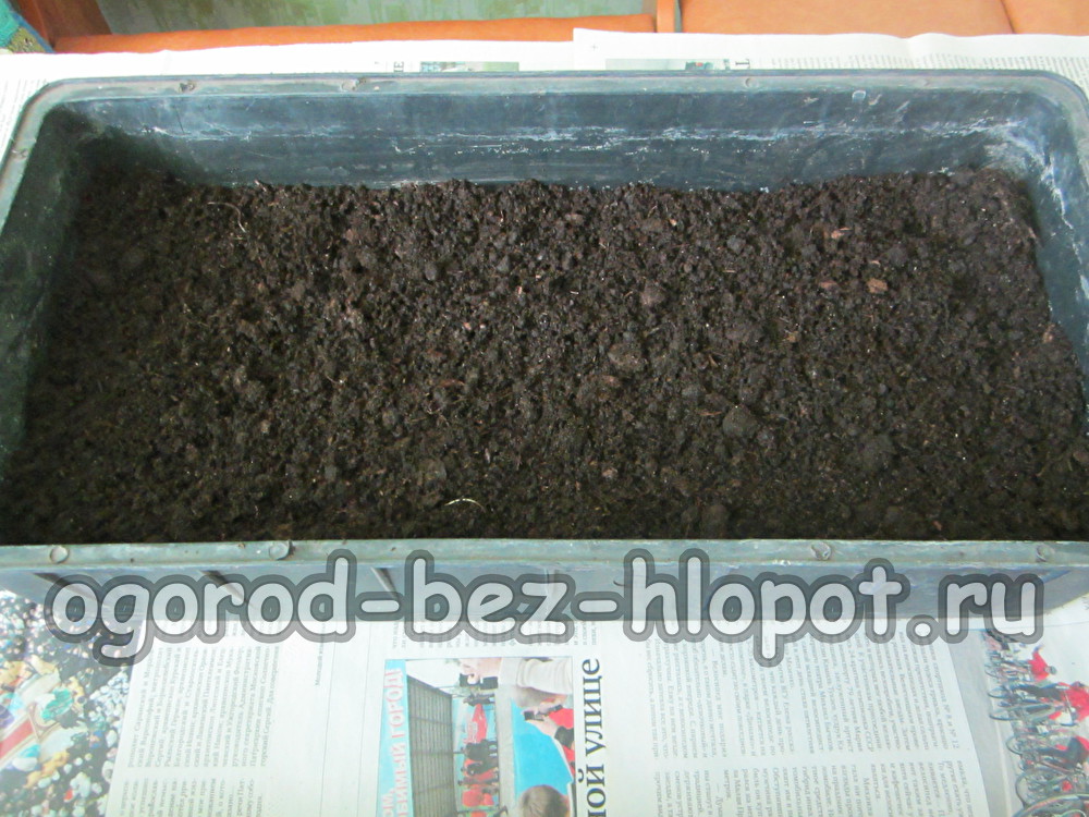 우리는 용기에 흙을 붓습니다