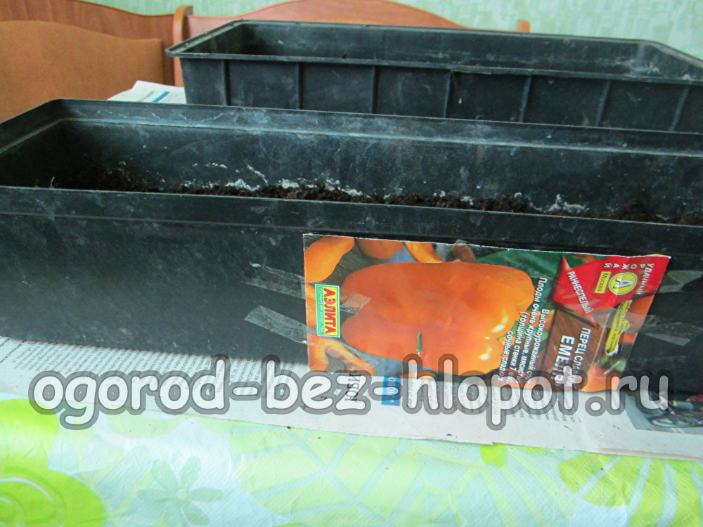 고추씨앗을 나눠주세요