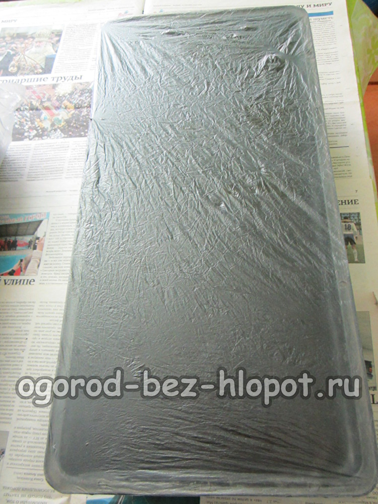 고추 품종 봉지에 고추를 꽂아 넣으세요