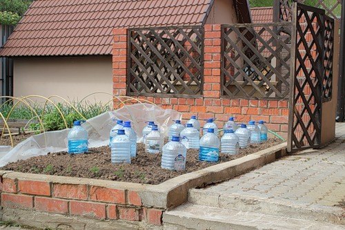 5리터 병과 오이 재배