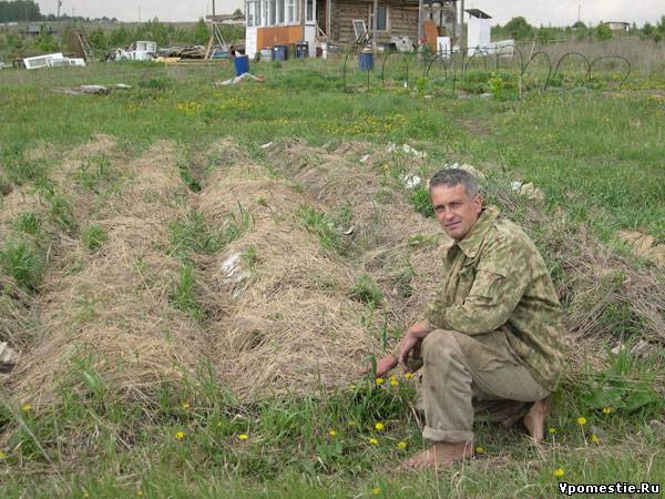 번거로움 없이 감자 재배하기