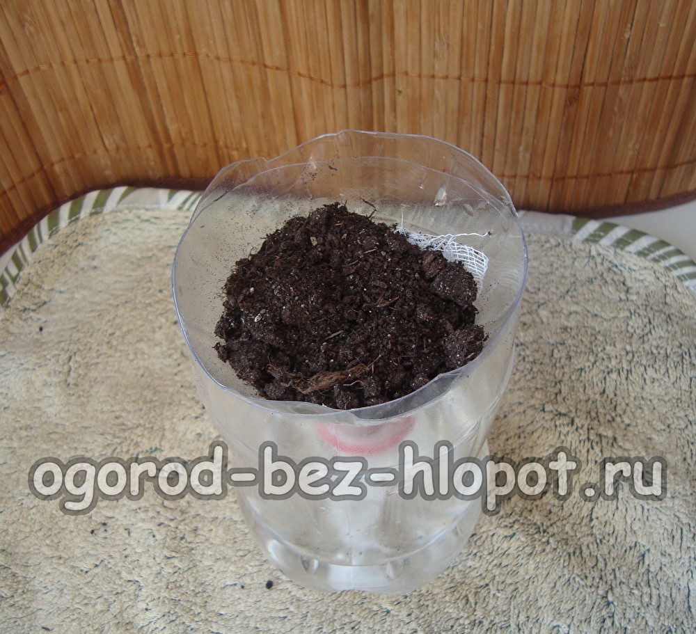 우리는 토양을 채운다