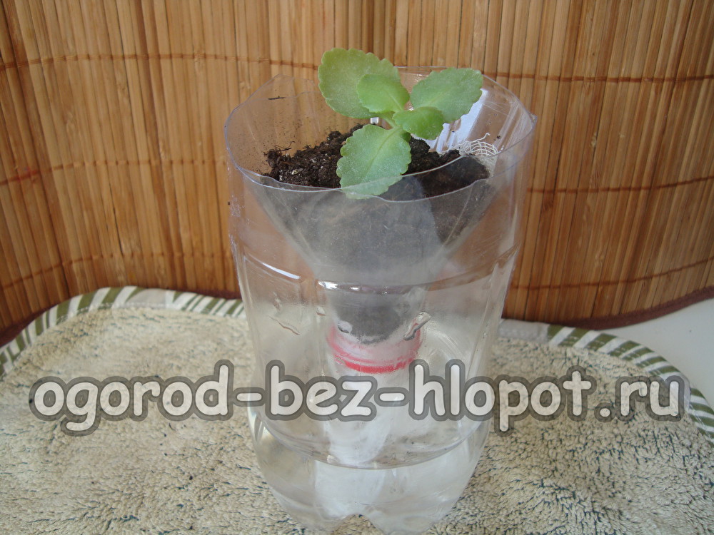 배수 시스템이 준비되었습니다