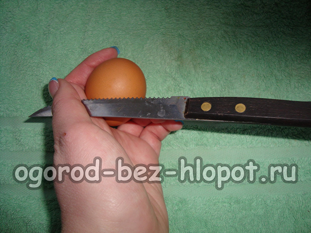 껍질을 준비하자