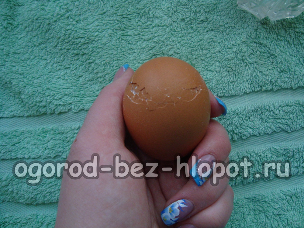 윗부분을 잘라내다