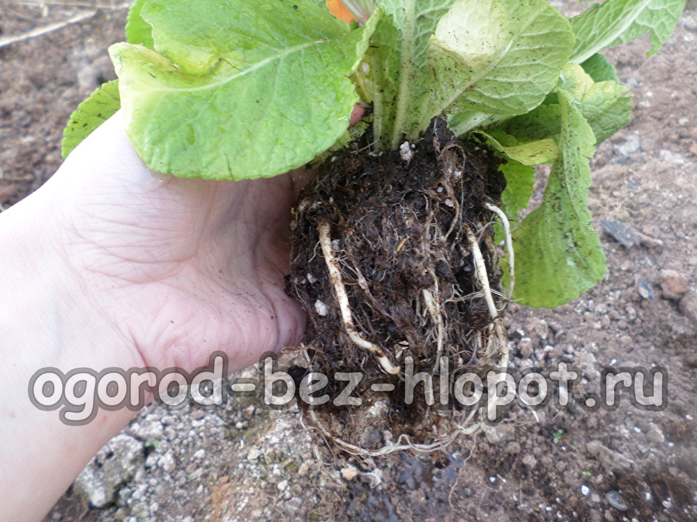 우리는 청소합니다