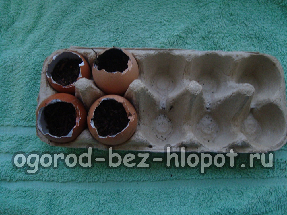 우리는 그것을 팔레트에 올려 놓는다