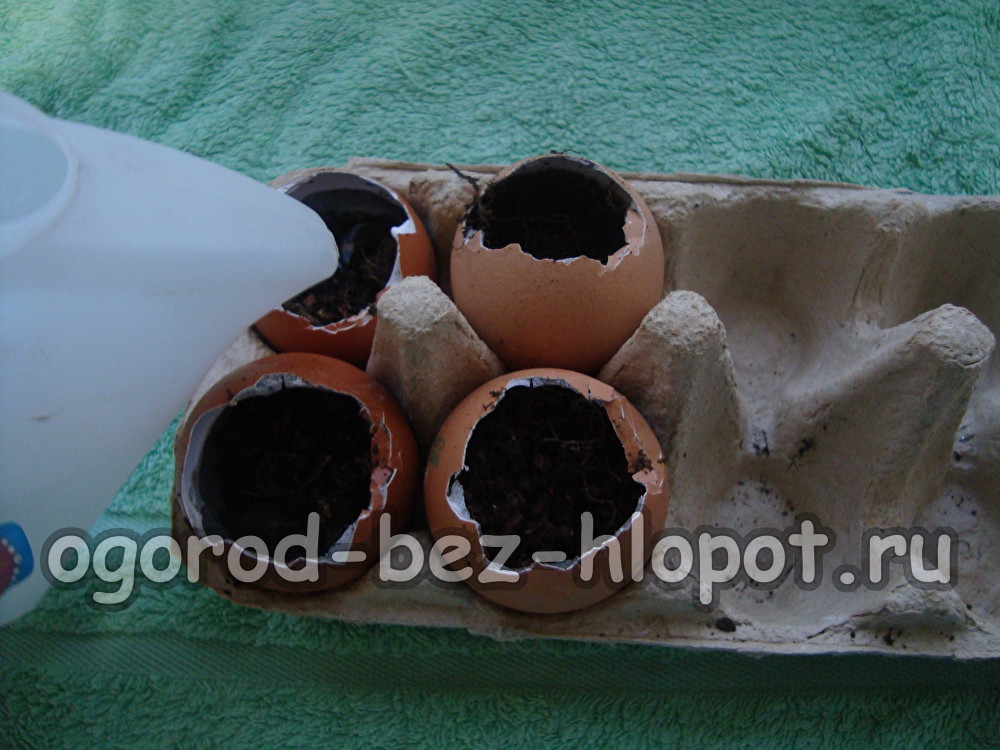 흙을 적셔주세요