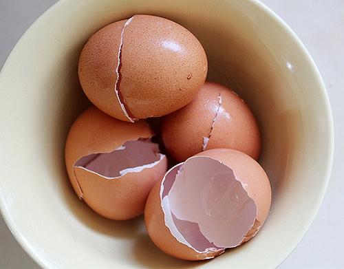 달걀 껍질로 비료를 주는 방법