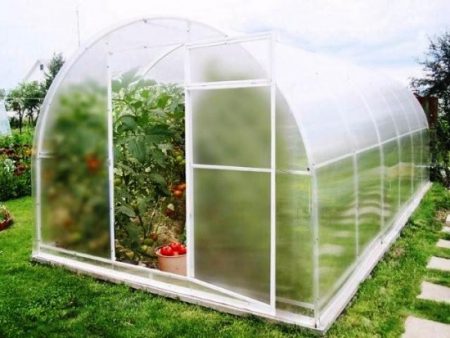 온실에서 묘목 재배