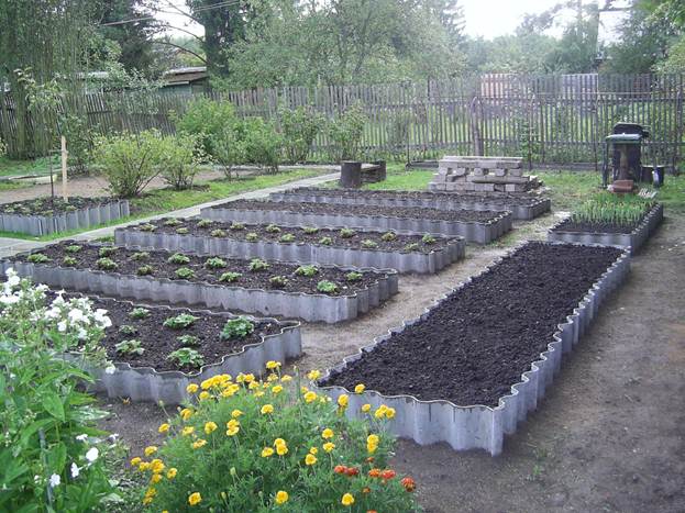 정원 침대에 나란히 심을 것