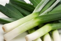 파 심기 및 관리