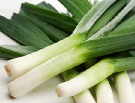 파 심기 및 관리