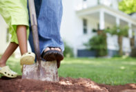 파지 않는 게으른 사람의 정원