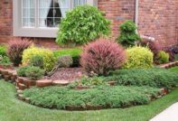 중부 러시아의 관상용 관목