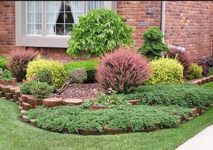 중부 러시아의 관상용 관목